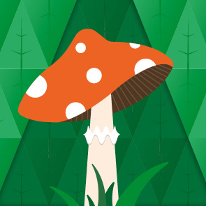 Un dimanche matin dans la for&ecirc;t